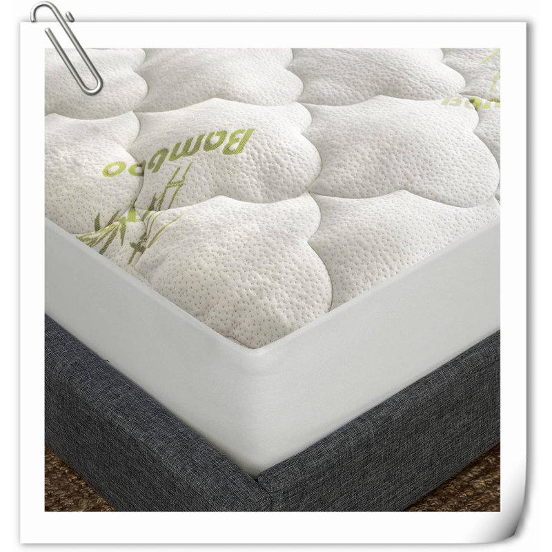 Surmatelas de 23 po Stayner Alwyn Home, Très grand