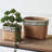 Set Of 2 Rectangular Basket Planters With Geometric Trim, L:10.5X8.5X8" S:7.5X5.5X6.5"