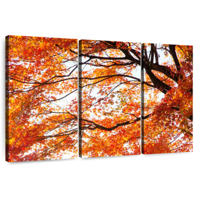 Alvord acer Palmatum en automne