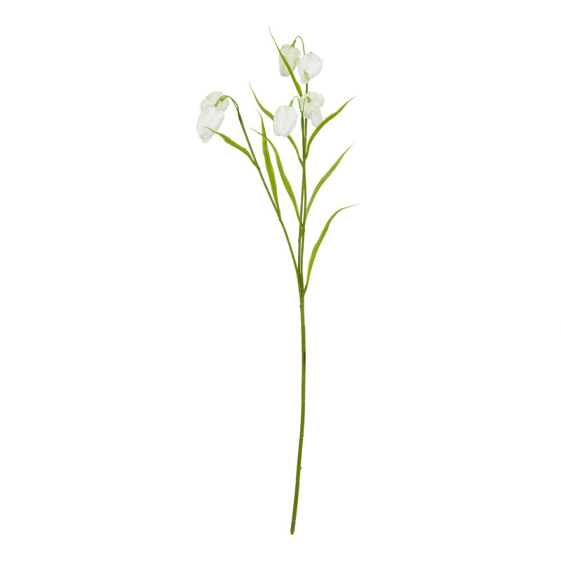 Anastasija Arrangement, White