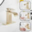 Single-handle Bathroom Faucet with Drain Assembly-81641105