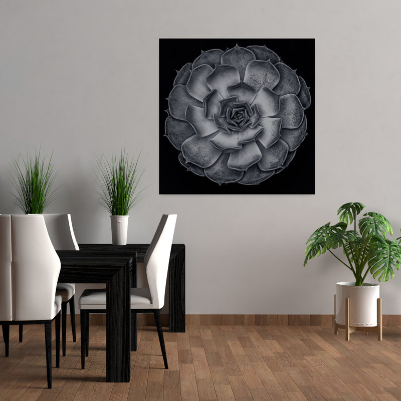 «Succulent Graptoveria Baw 001 Square Contrast Abstract Contemporary Succulent Landscape Nature Art mural, H 36 po x l 36 po