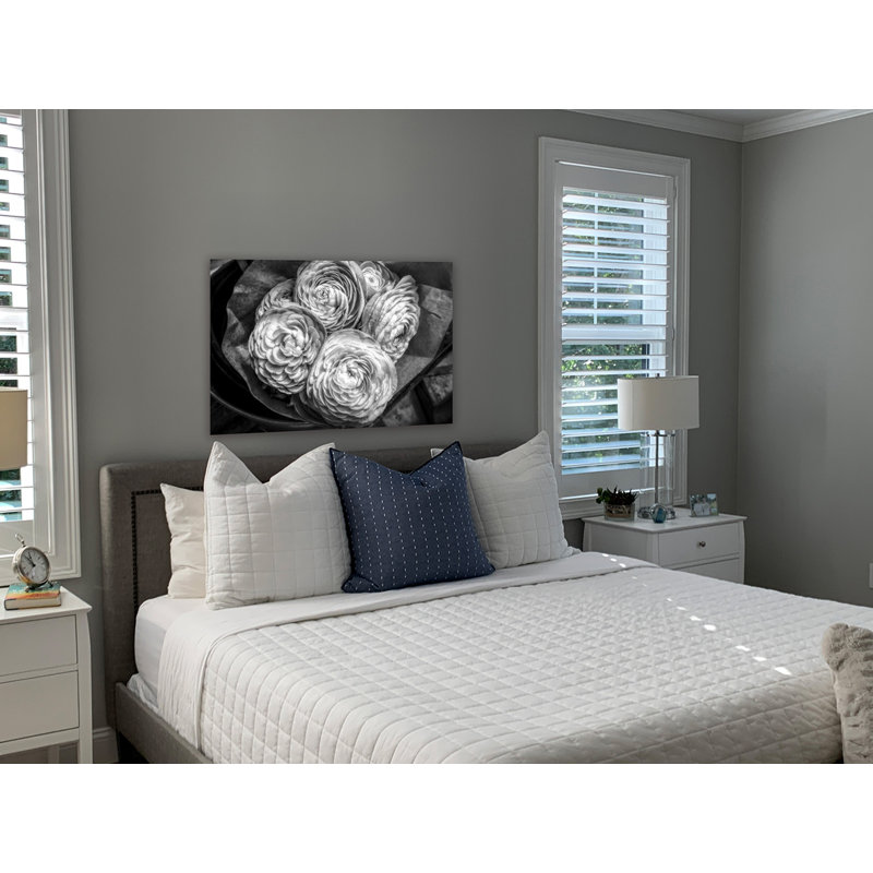 Moody European Ranunculus 24x36