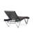Leyt Outdoor Chaise Lounge Set-28208496
