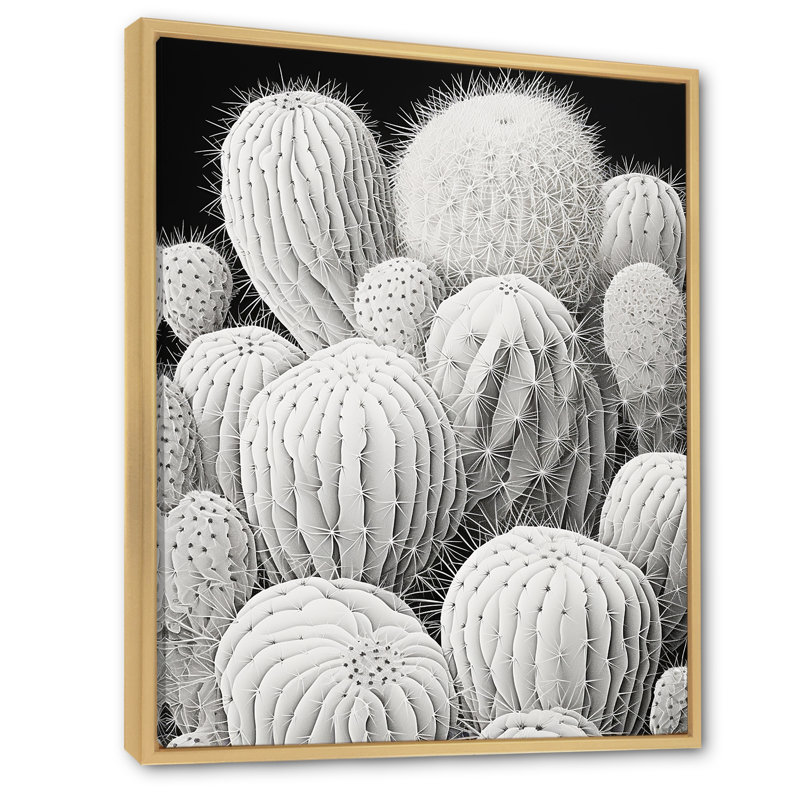 Noir et blanc, minimalisme, cactus sur toile, Cadre naturel flottant, H 32 po x l 16 po x P 1 po