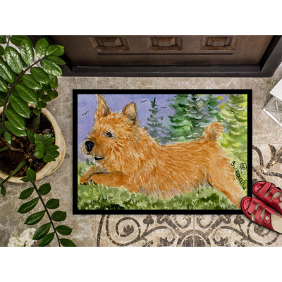 Non-Slip Indoor Doormat