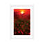 « chaleureux coucher de soleil » par marco carmassi-reproduction de photo-49715848-49715854