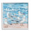 Mouettes sur la plage par Melissa Wang