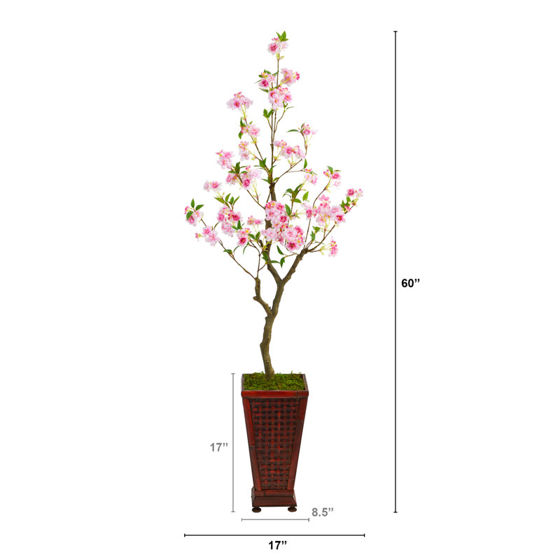 Cerisier en fleurs 60 po