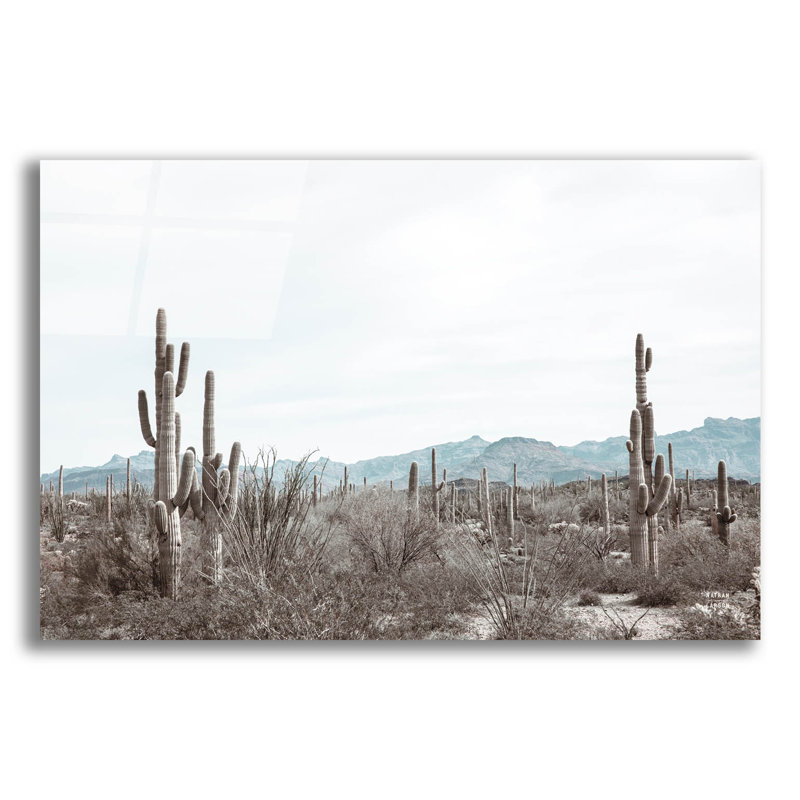  «Sonoran Wonderland» par Nathan Larson, art mural en verre acrylique, 36 po x 24 po, H 16 po x l 24 po x P 0,2 po