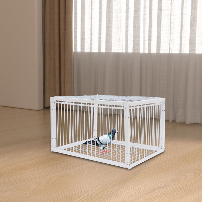 Cage à pigeons autoportante Pigeon Cage, H 10,23 po x l 15,74 po x P 11,8 po