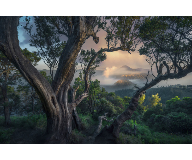 Wrapped Canvas Print, 50.8 cm H x 76.2 cm W
