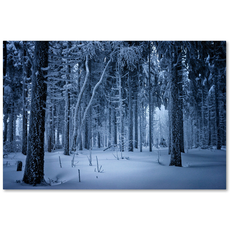 «Blue Frost» par Philippe Sainte-Laudy - reproduction de photo sur toile tendue, H 22 po x l 32 po