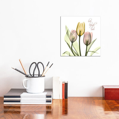 Tulip Love by Albert Koetsier - Wrapped Canvas Print