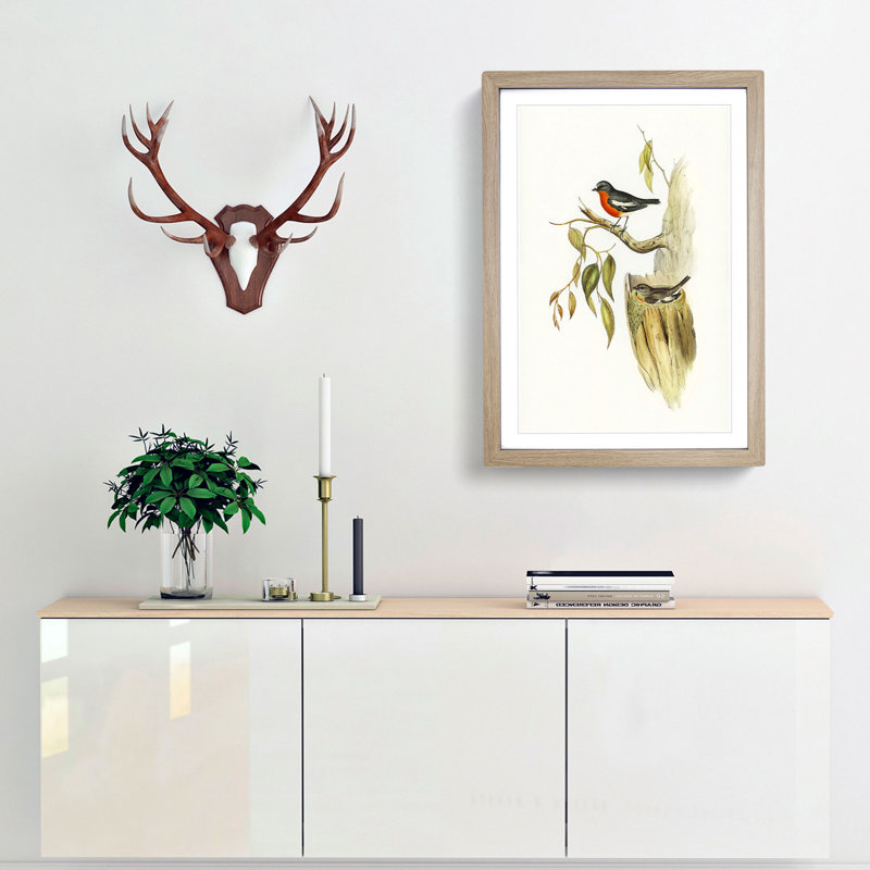 Flame-Breasted Robin by Elizabeth Gould - Picture Frame Painting Print, 36cm H x 27cm W x 2cm D, Oak Framed