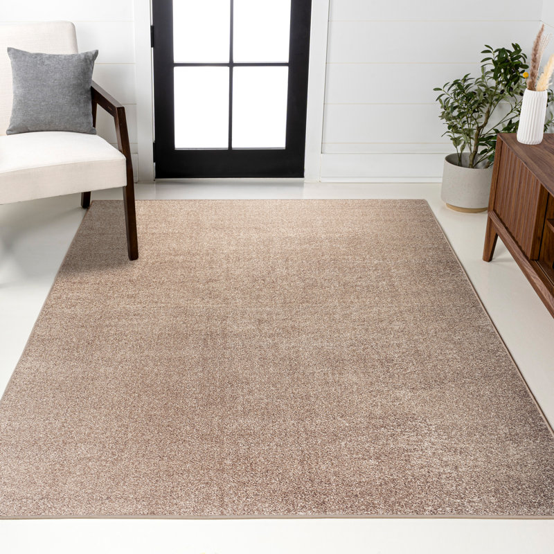 Tapis beige Asami, Rectangle 2 pi 9 po x 5 pi