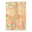 Hand Knotted Indian Agra rug 10'X 14'