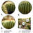 Plants & Flowers Wall Decor on Metal