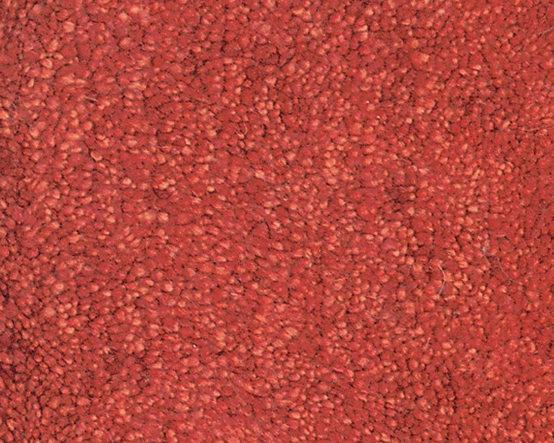 Sprouts Wool Area Rug in Red, Rectangle 10' x 14'
