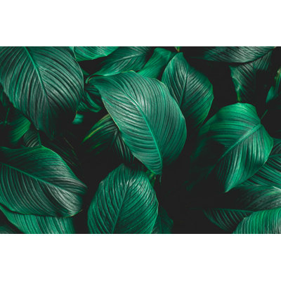 Abstrait feuilles vertes - Photographie sur toile tendue