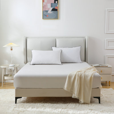 Goose Feather Down Blend Pillow With Organic Cotton Cover and Medium Comfort Bed Pillow