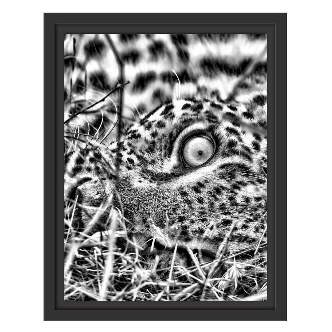 Gerahmtes Wandbild Leopard