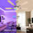 52" Ceiling Fan With Light, Remote & APP Control, Low Profile RGB Ceiling Fans Light, Reversible, 6 Speeds, 3000-6500K Stepless Dimming, Modern Ceiling Fan For Bedroom Indoor/Outdoor Use Wood-1667578175-1667578174