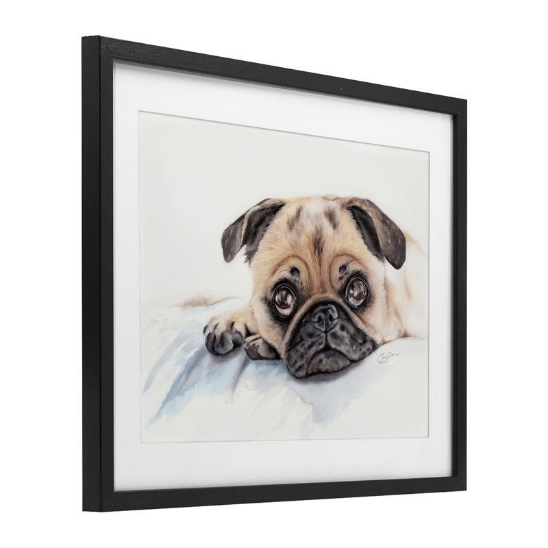 Innocent Pug Relaxing, reproduction encadrée sous verre, conception de Cady, H 13 po x l 16 po, Cadre noir minuit