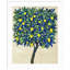 Lemon Tree Composition II by Tim Otoole-1199301355-1199301352