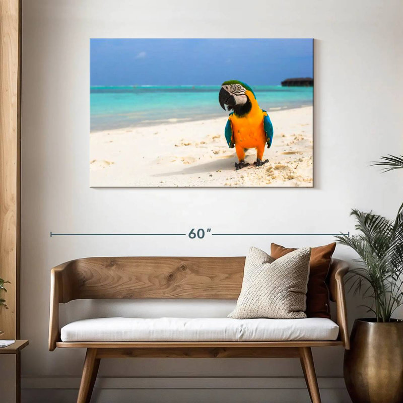 Brampt Parrot On Summer Day