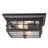 2 - Bulb Outdoor Flush Mount