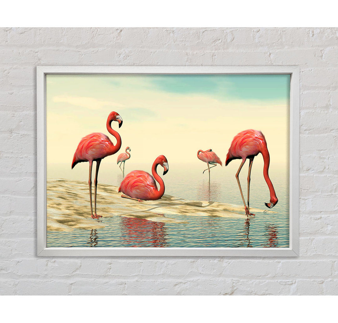 Rosa Flamingo beim Baden - Einzelner Bilderrahmen Kunstdrucke auf Leinwand