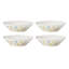 Wildflowers 9" Dinner Bowls, S/4
