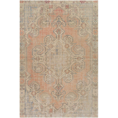 Diderich Oriental Indoor Rug