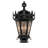 Tianna Steel Armed Sconce