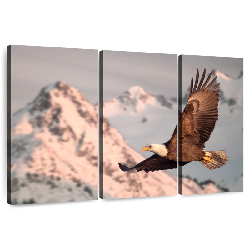 Majestic Bald Eagle, 24" H x 38" W