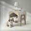 Dog House