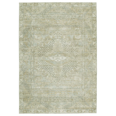 Issa Oriental Indoor Rug