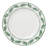 Oneida Borderless Green 12Pc Dinnerware Set