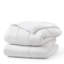 Summer Down Alternative Comforter-2041690559