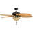 Palm Valley 52" Tropical Ceiling Fan-1922206863