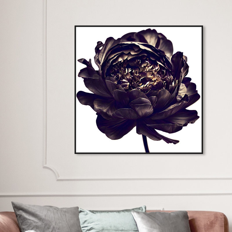 Pivoine noire - Impression sur toile, Cadre noir, H 41 po x l 41 po