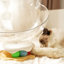 Nid de chat Space Capsule pour petits chats (comprend une baguette de teaser)