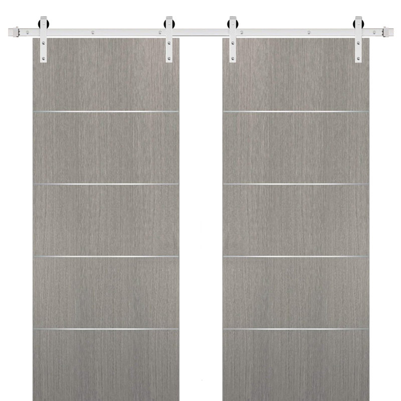 Portes de grange coulissantes doubles avec quincaillerie | Planum 0020 | Ensemble de 13 cintres robustes | Porte de salle de bain de chambre à coucher moderne à panneau solide - Rail argenté
