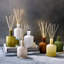Chamomile Lavender Reed Diffuser