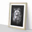 The Proud Lion - Framed Print-56742561-56742562