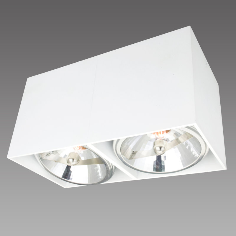 Flush Mount