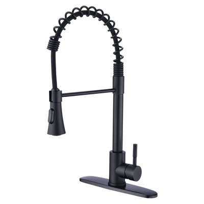 MAXWELL Kitchen Faucet
