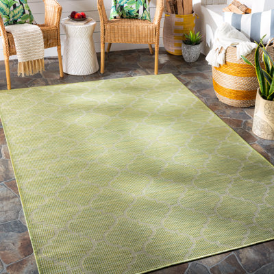 Tapis intérieur / extérieur vert Brimberry