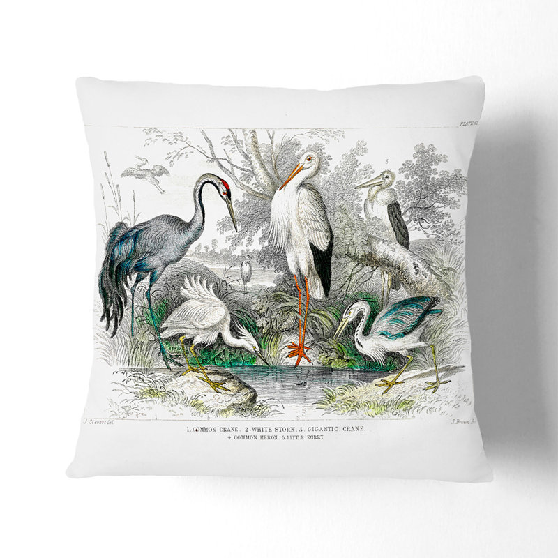 Floral Square Throw Cushion, 55cm H x 55cm W x 20cm D